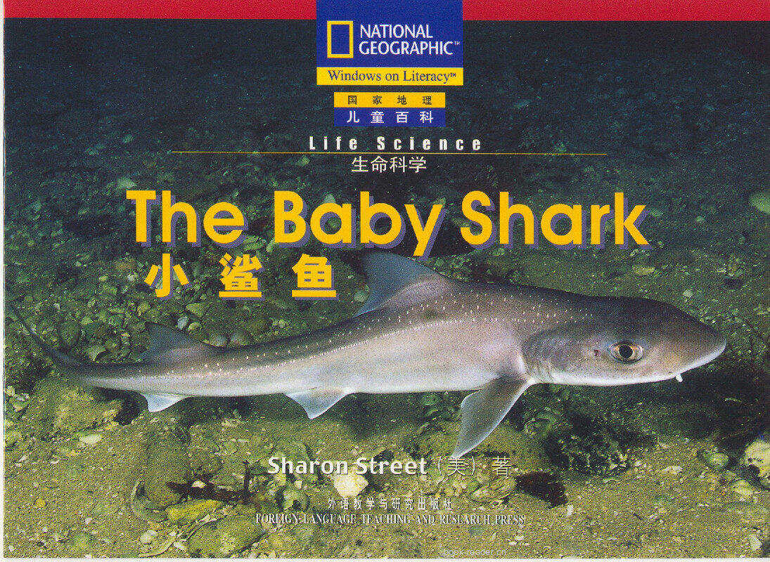 The Baby Shark绘本故事第2页