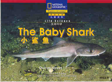 The Baby Shark绘本故事第2页