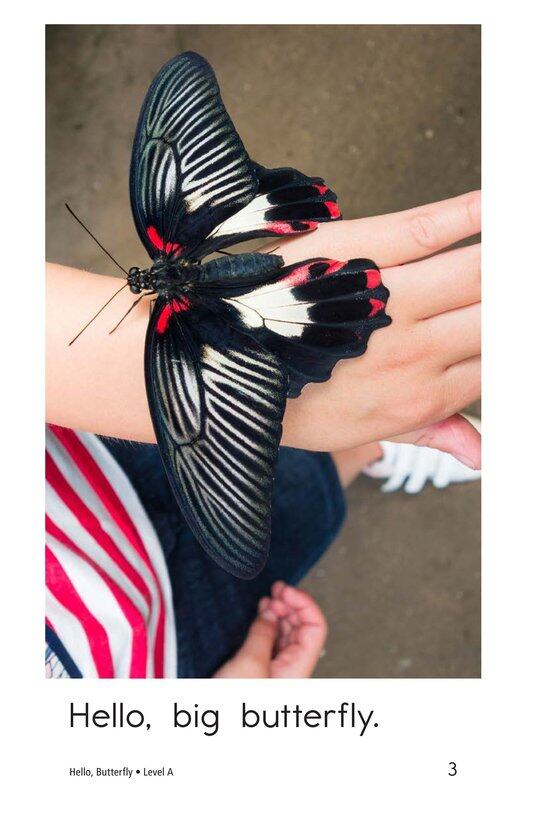 Hello,Butterfly绘本故事第3页