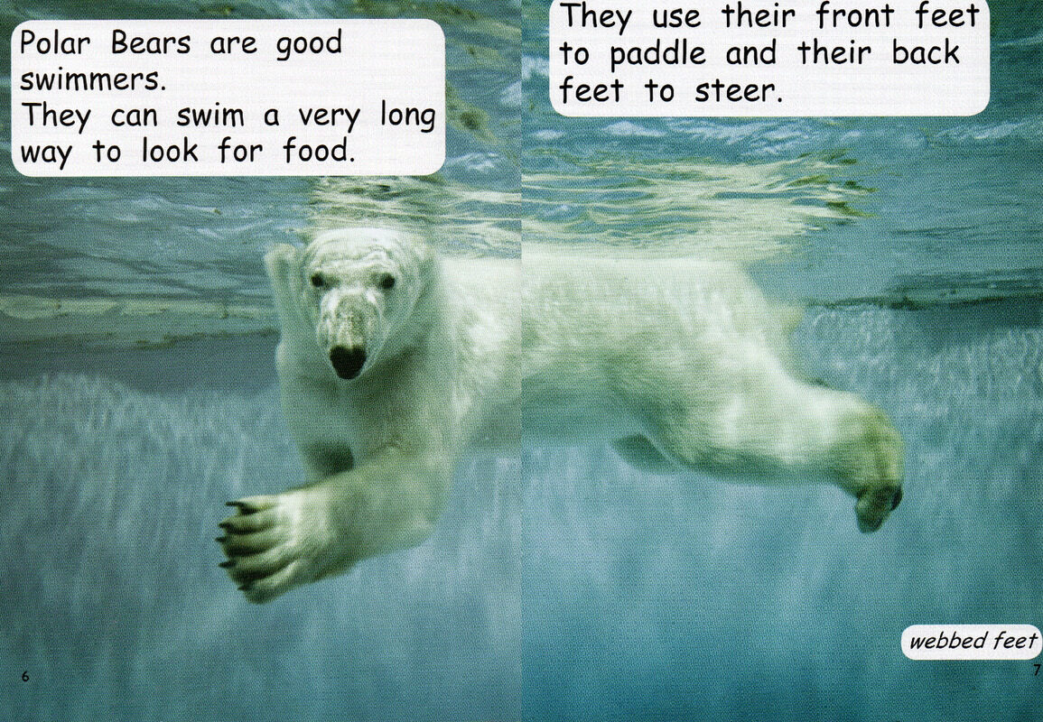 polar bear survival绘本故事第5页