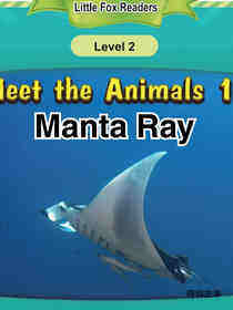 Manta Ray