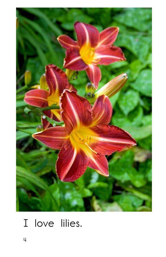 I Love Flowers绘本故事第4页