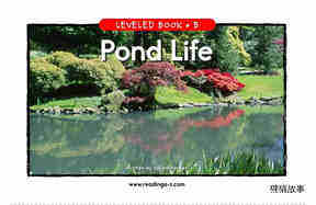 Pond Life