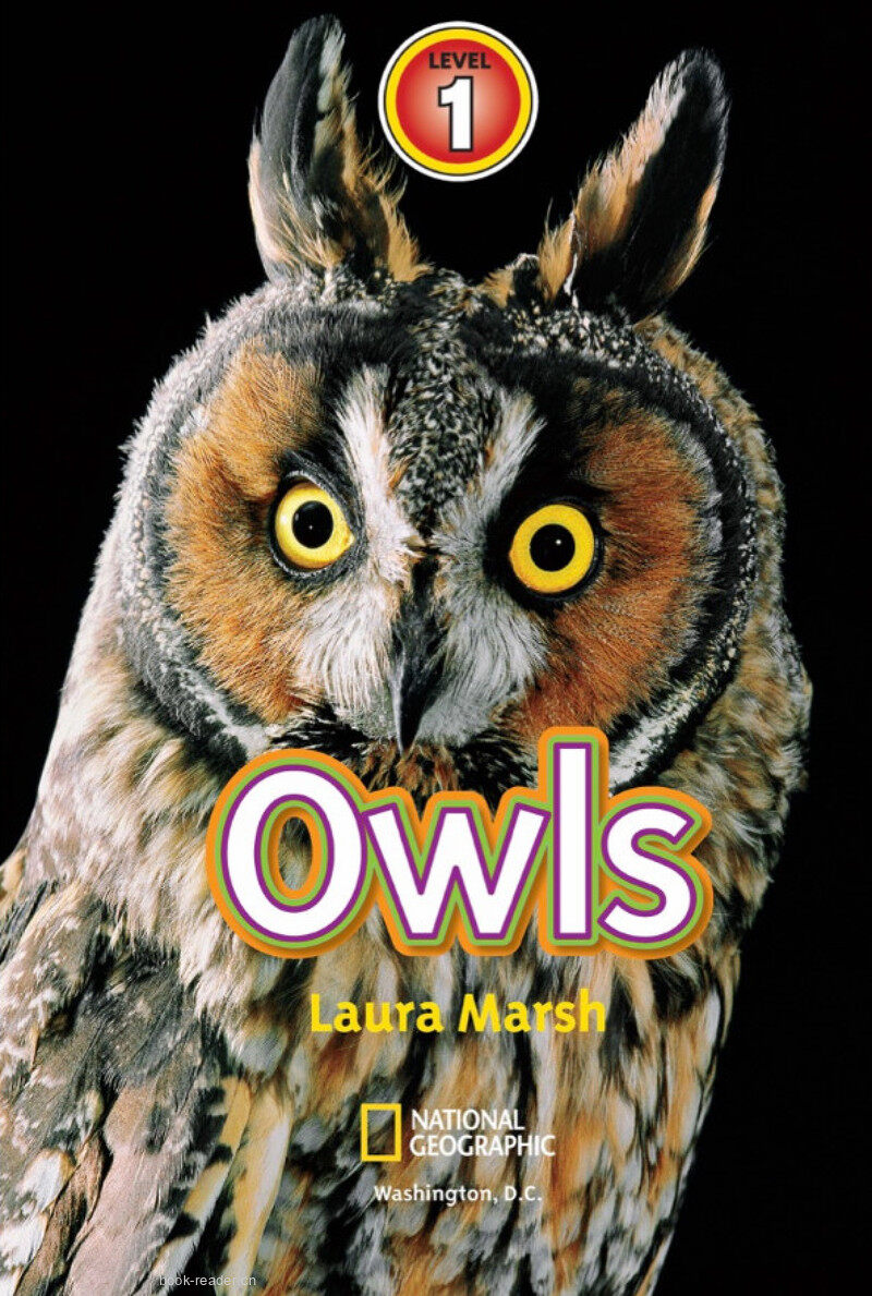 Owls