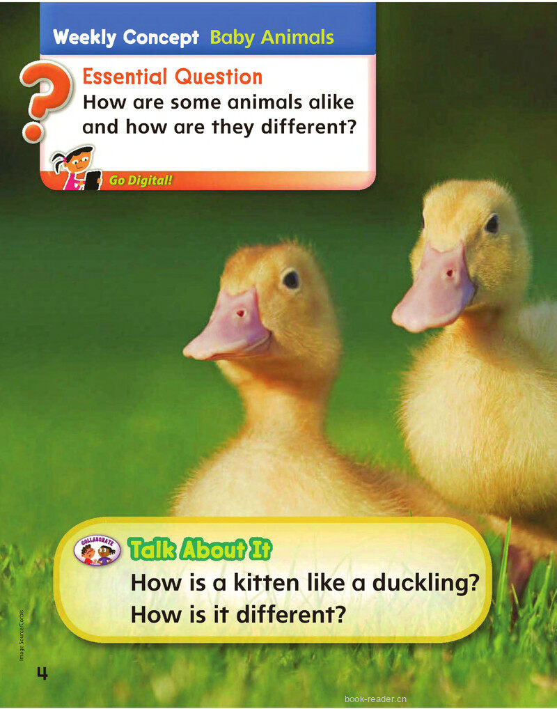 GK Unit 7绘本故事第3页