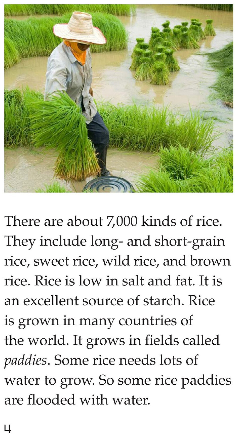 Making Rice绘本故事第4页