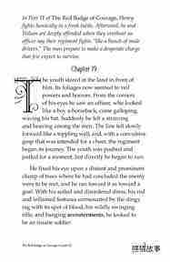 The Red Badge of Courage (Part 12)绘本故事第3页