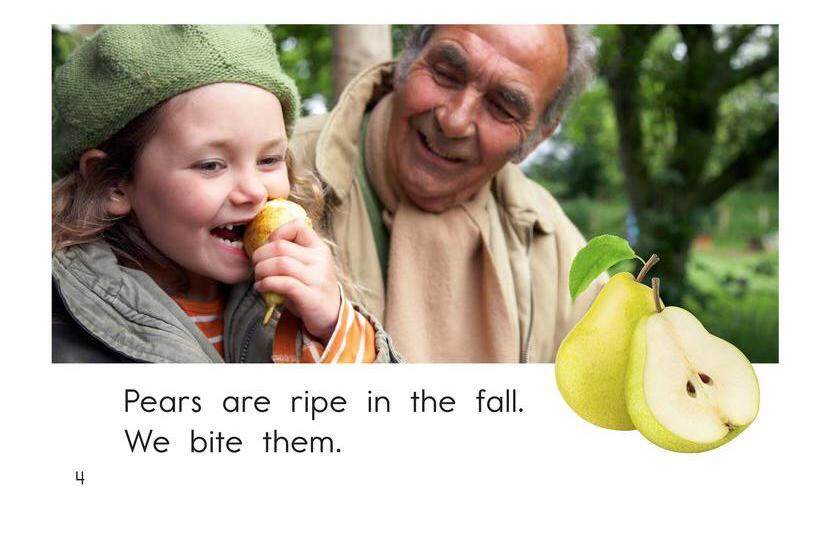 Fall Foods绘本故事第4页