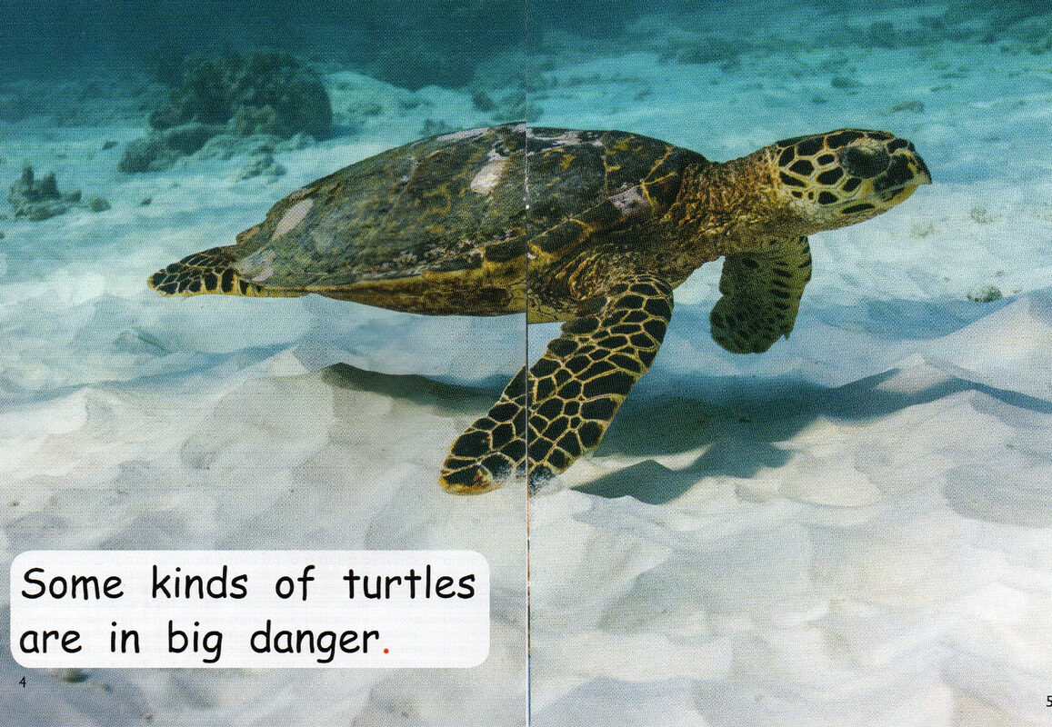 endangered animals绘本故事第4页