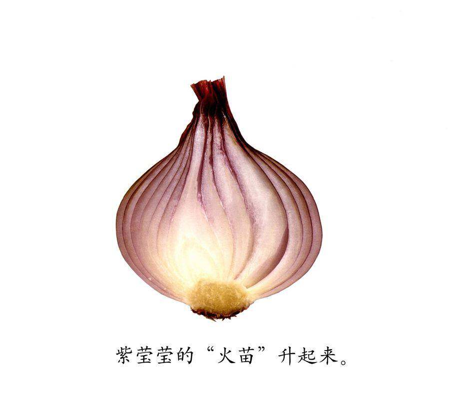 咔嚓咔嚓绘本故事第3页