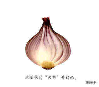 咔嚓咔嚓绘本故事第3页