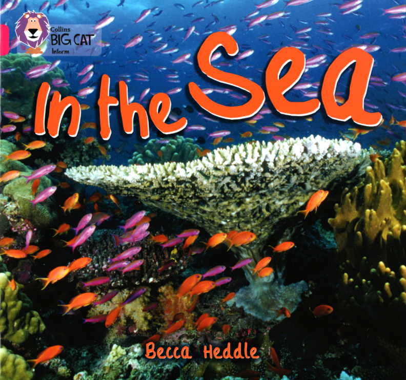 In the Sea绘本故事第2页