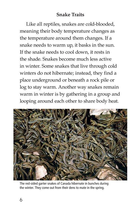 Slithery Snakes绘本故事第5页