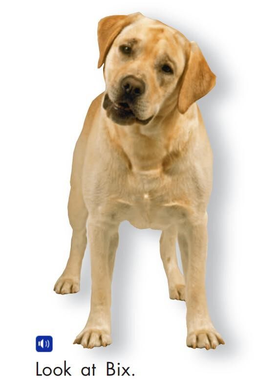 Look at Bix绘本故事第3页