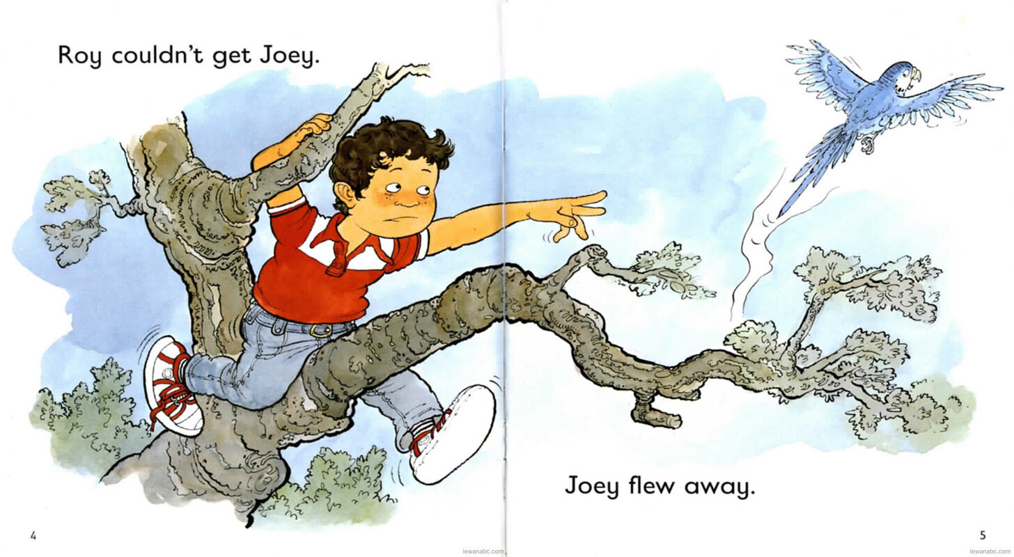 Roy and the Budgie绘本故事第5页