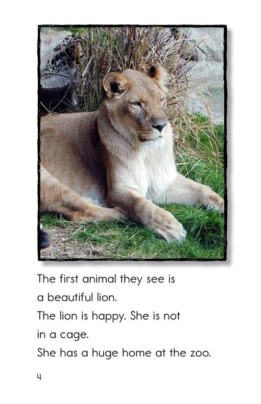 A Visit to the Zoo绘本故事第4页