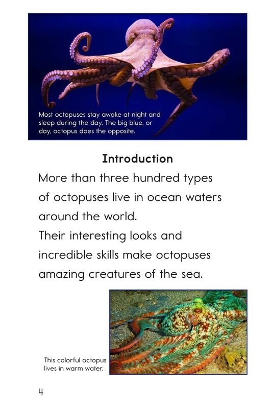 The Amazing Octopus绘本故事第3页