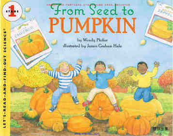 Seed to Pumpkin