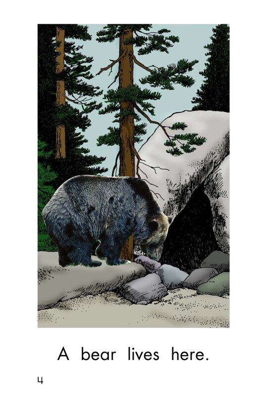 What Lives Here绘本故事第4页