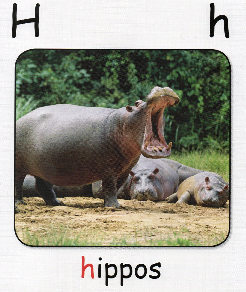 H绘本故事第4页