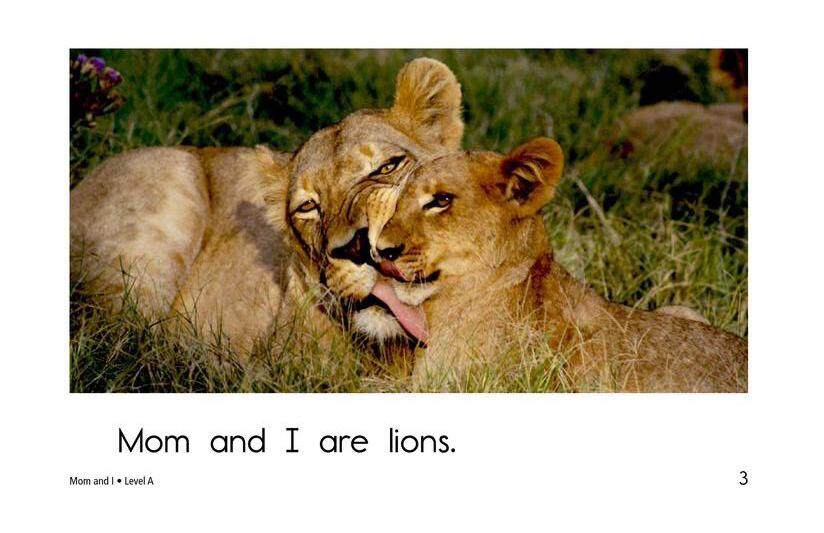 Mom and I绘本故事第3页