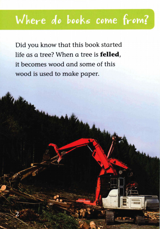 From Tree to Book绘本故事第3页