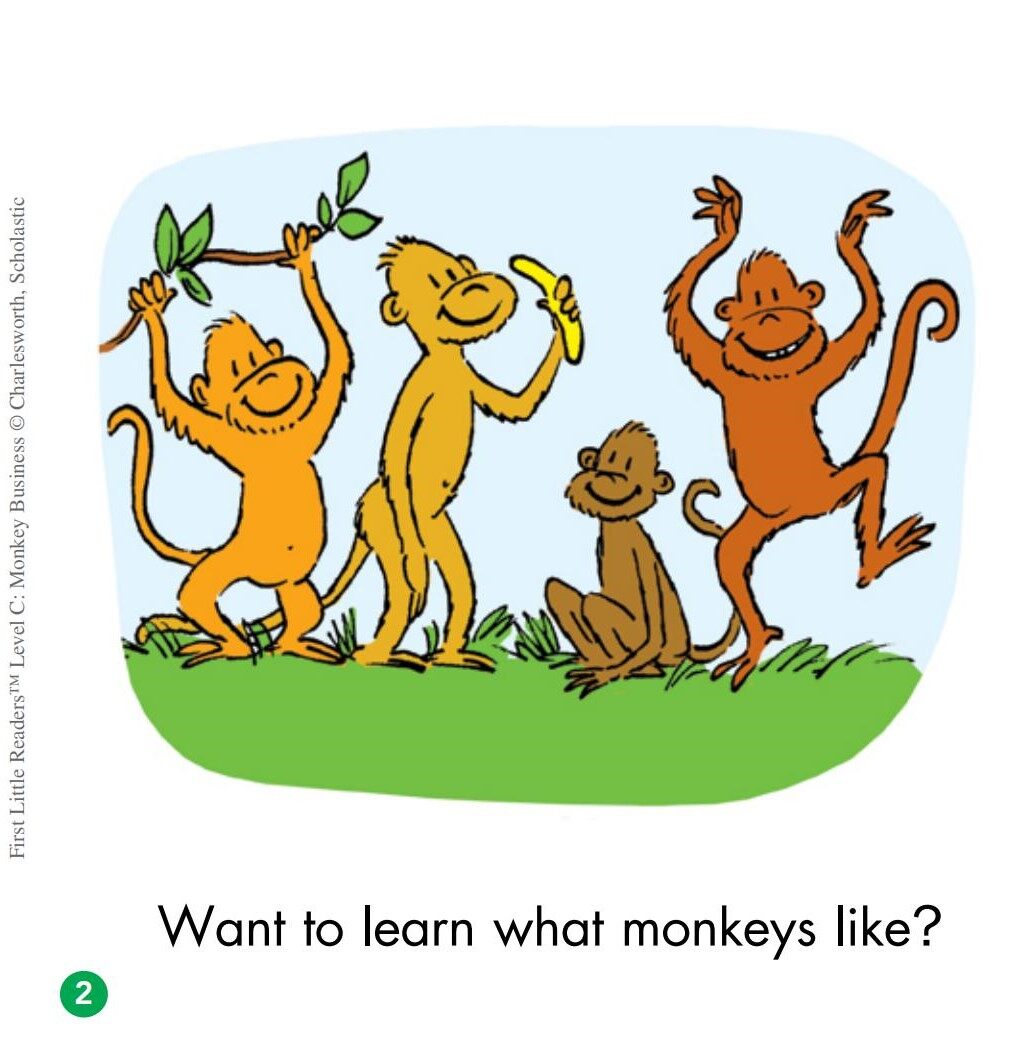 Monkey Business绘本故事第3页