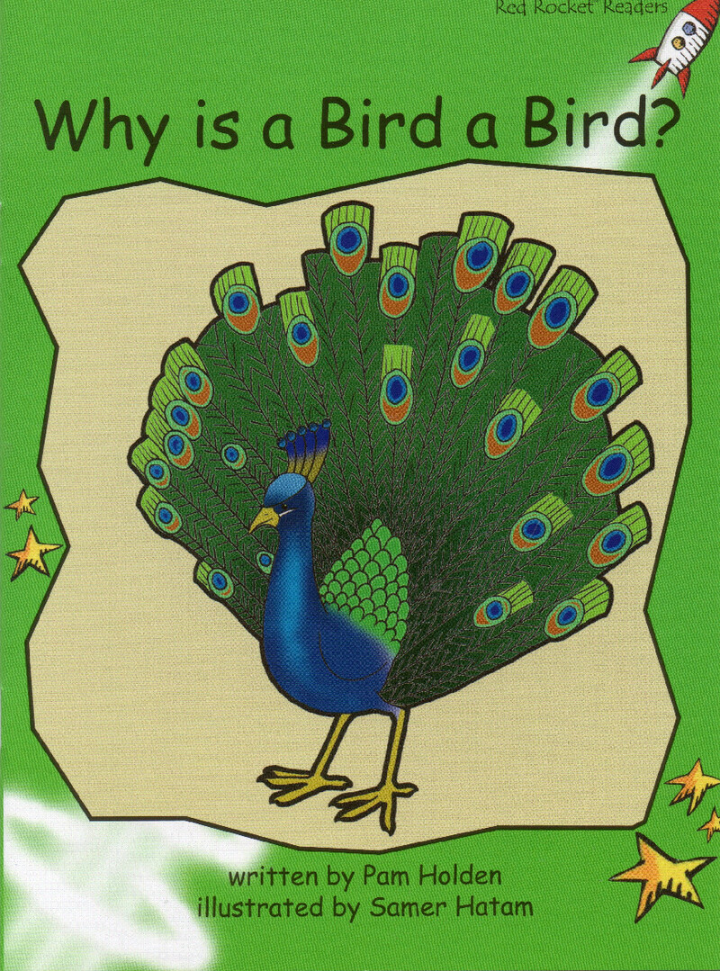 Why Is A Bird A Bird绘本故事第2页