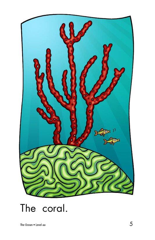 The Ocean绘本故事第5页