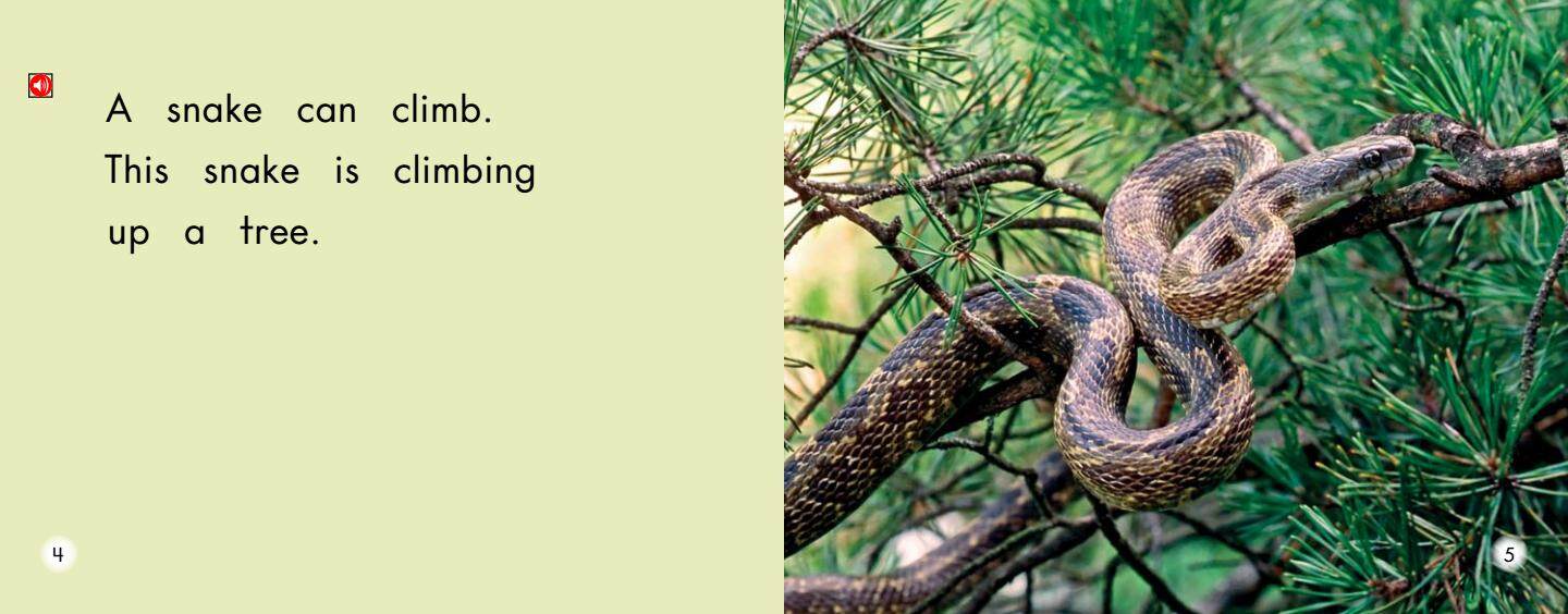 All About Snakes绘本故事第4页