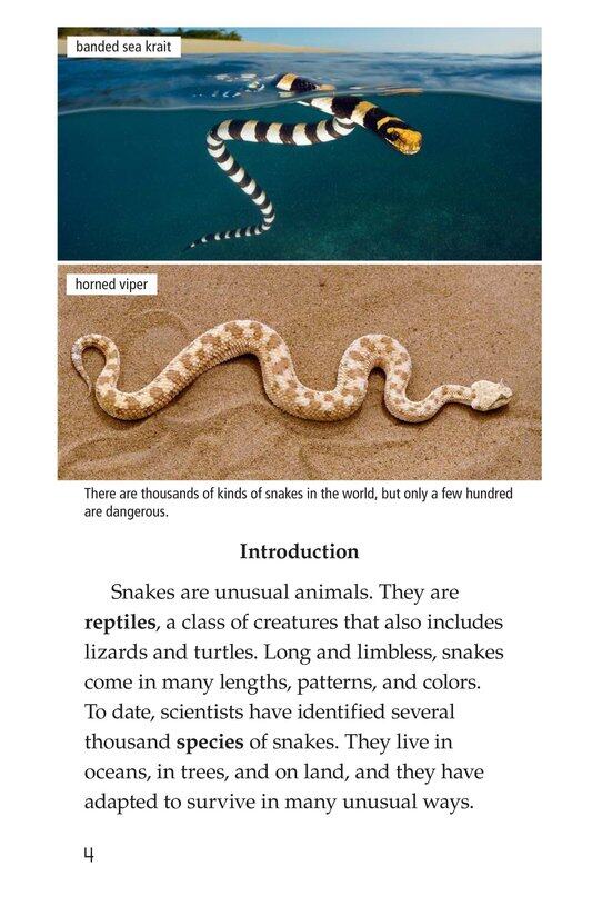 Slithery Snakes绘本故事第3页