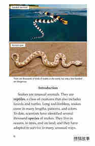 Slithery Snakes绘本故事第3页
