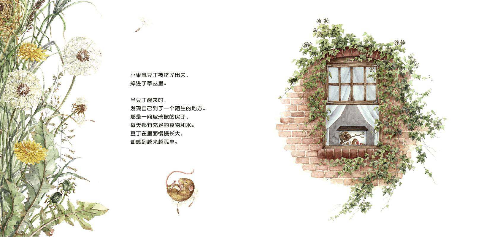 豆丁要回家绘本故事第2页