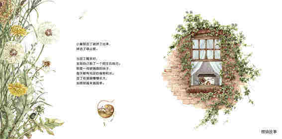 豆丁要回家绘本故事第2页