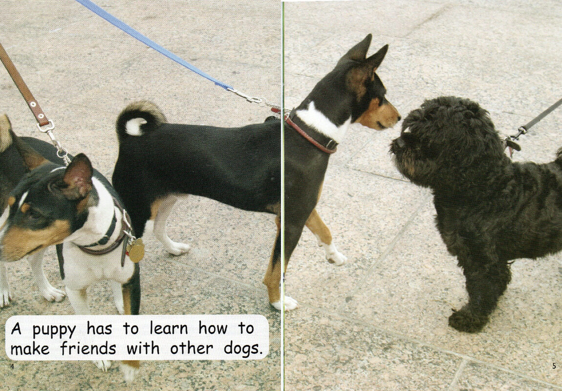 puppy school绘本故事第4页