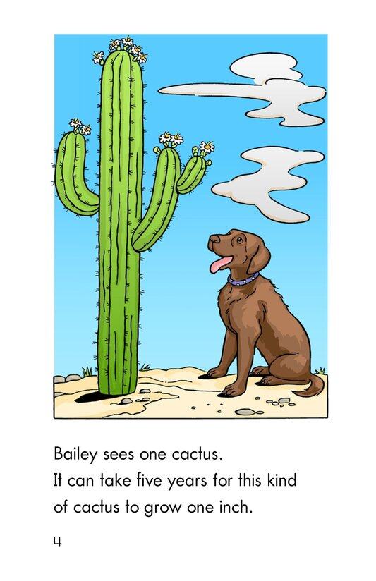 A Desert Counting Book绘本故事第4页