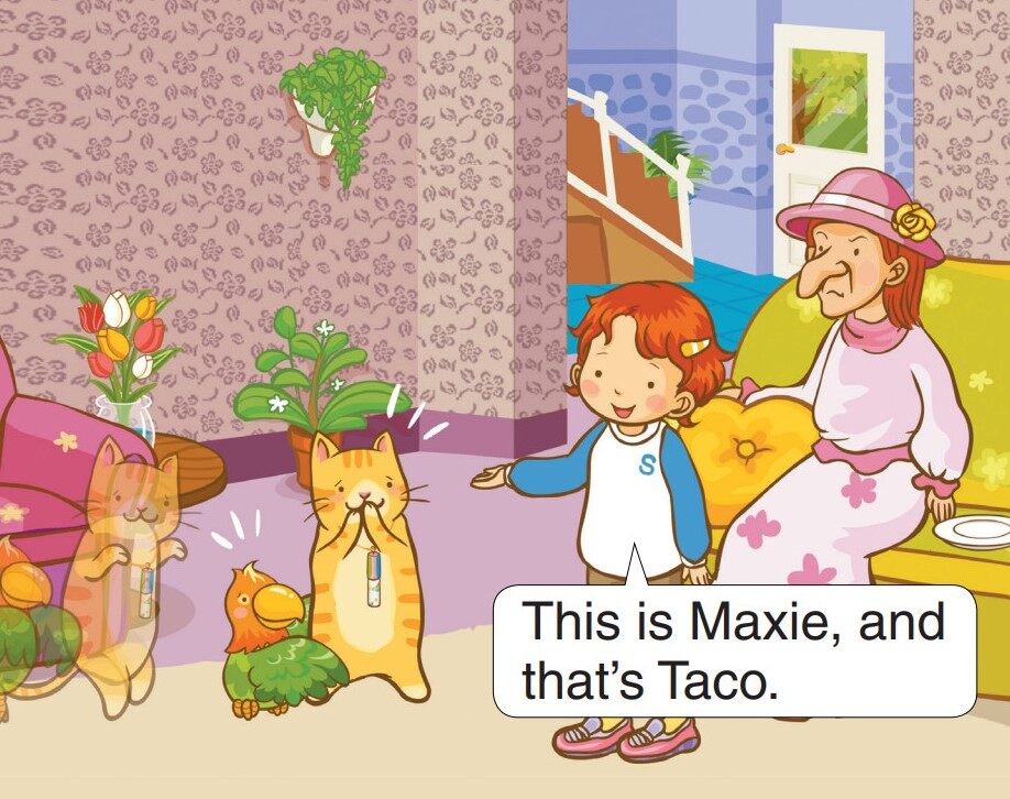 How Many Pets?绘本故事第5页