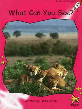 what can you see
