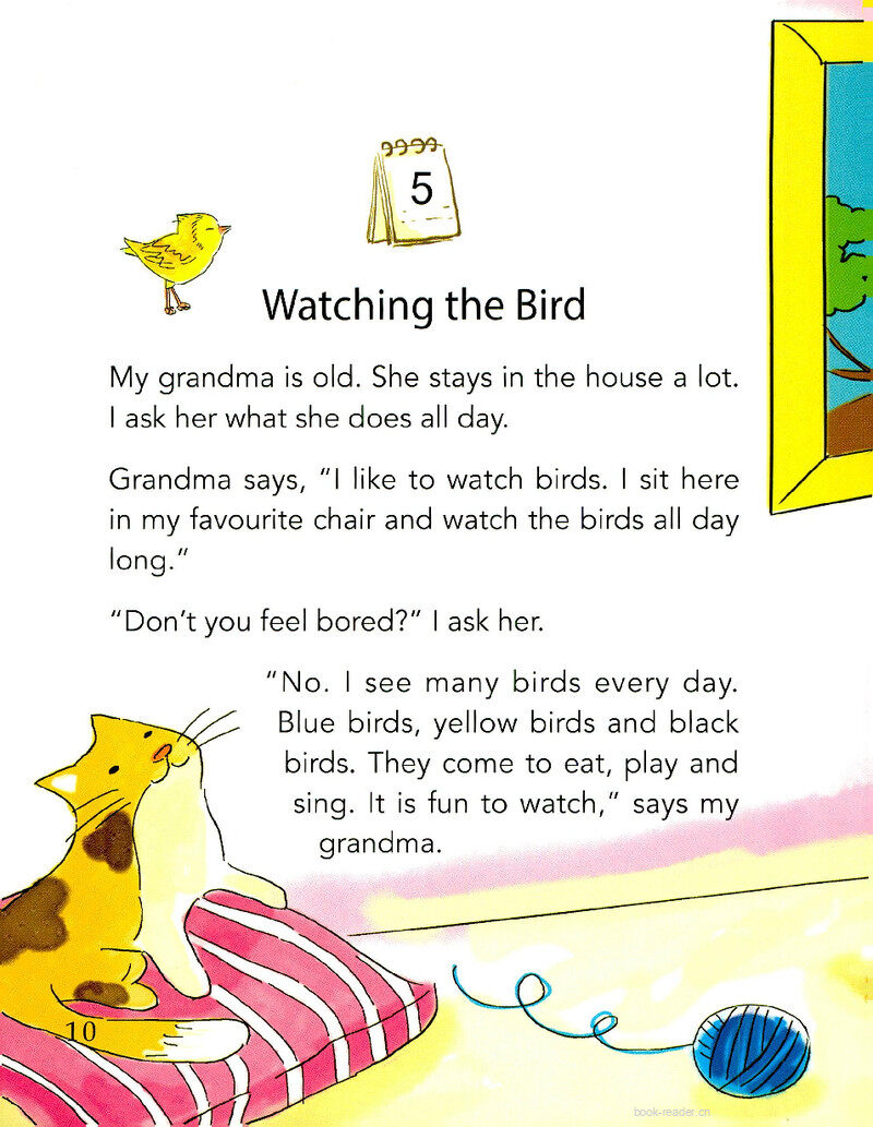 Watching the Bird绘本故事第2页