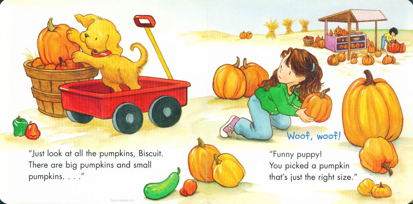 biscuit visits the pumpkin patch绘本故事第3页