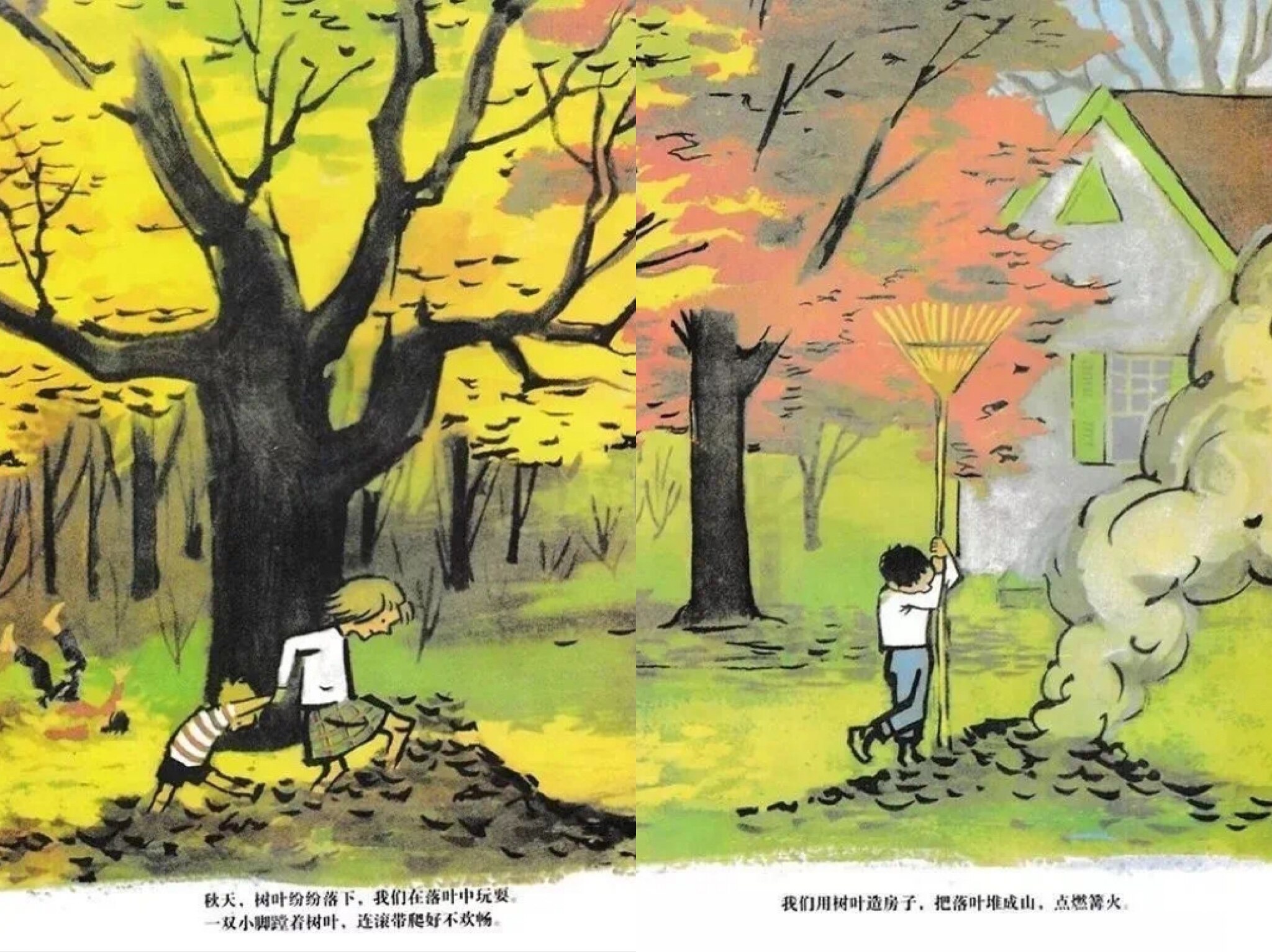 树真好绘本故事第5页