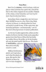 The Case of the Disappearing Honeybees绘本故事第4页