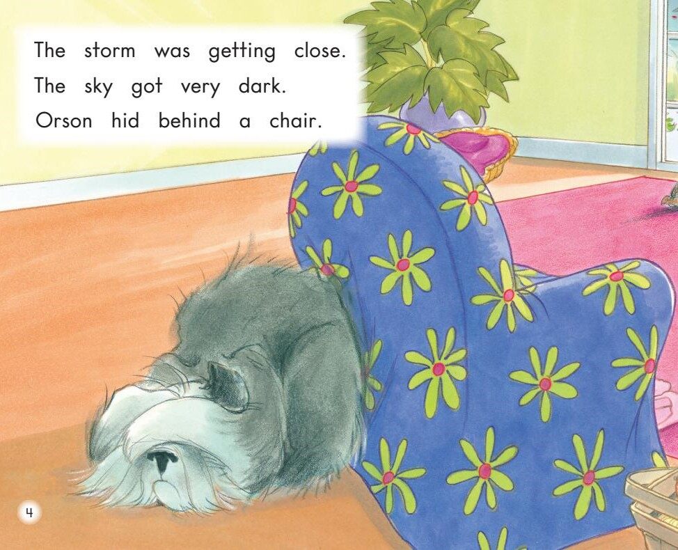 The big storm绘本故事第4页