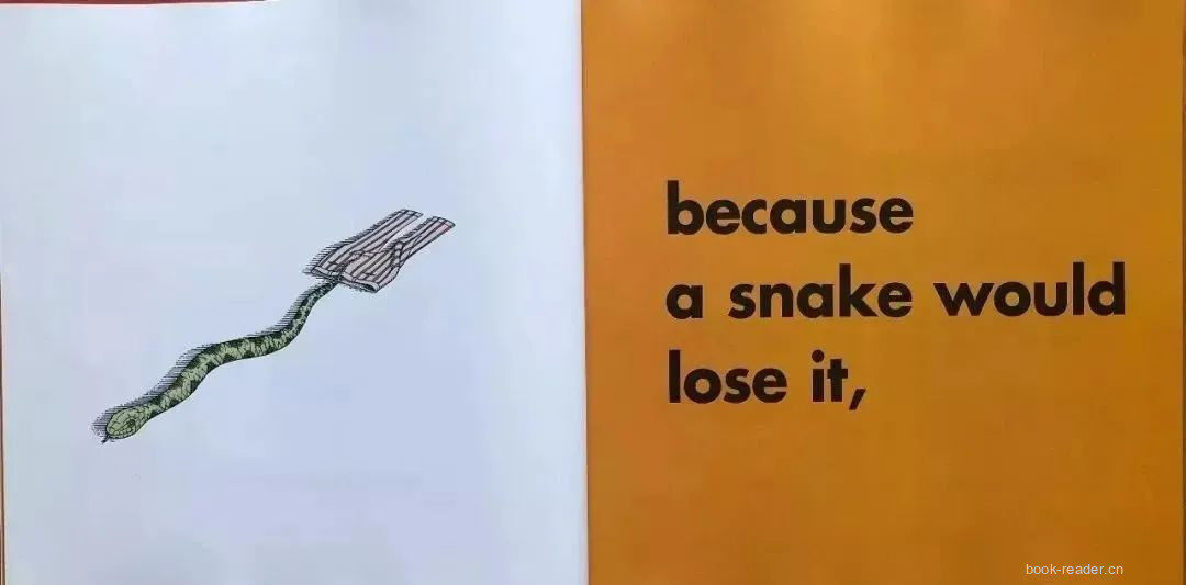 Animals Should Definitely Not Wear Clothing绘本故事第5页