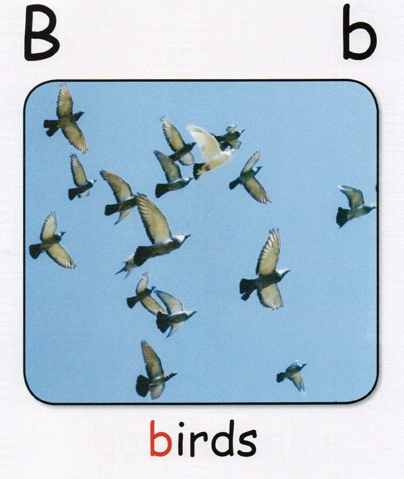 b绘本故事第5页