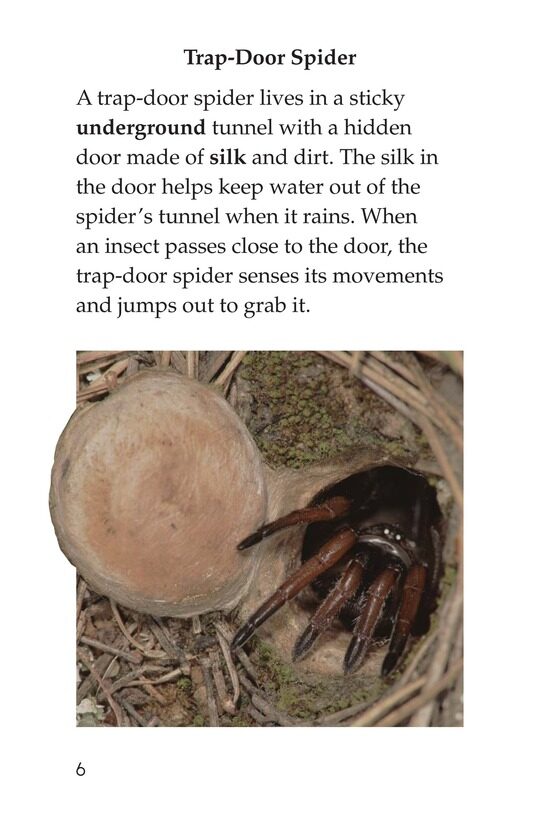 Wonders of Nature绘本故事第5页