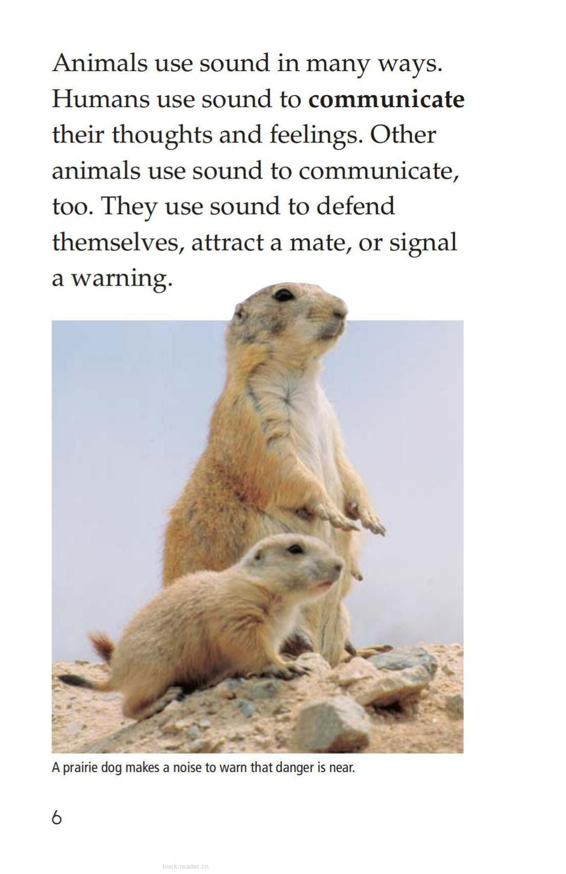 Sound All Around绘本故事第5页