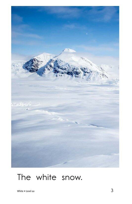 White绘本故事第3页