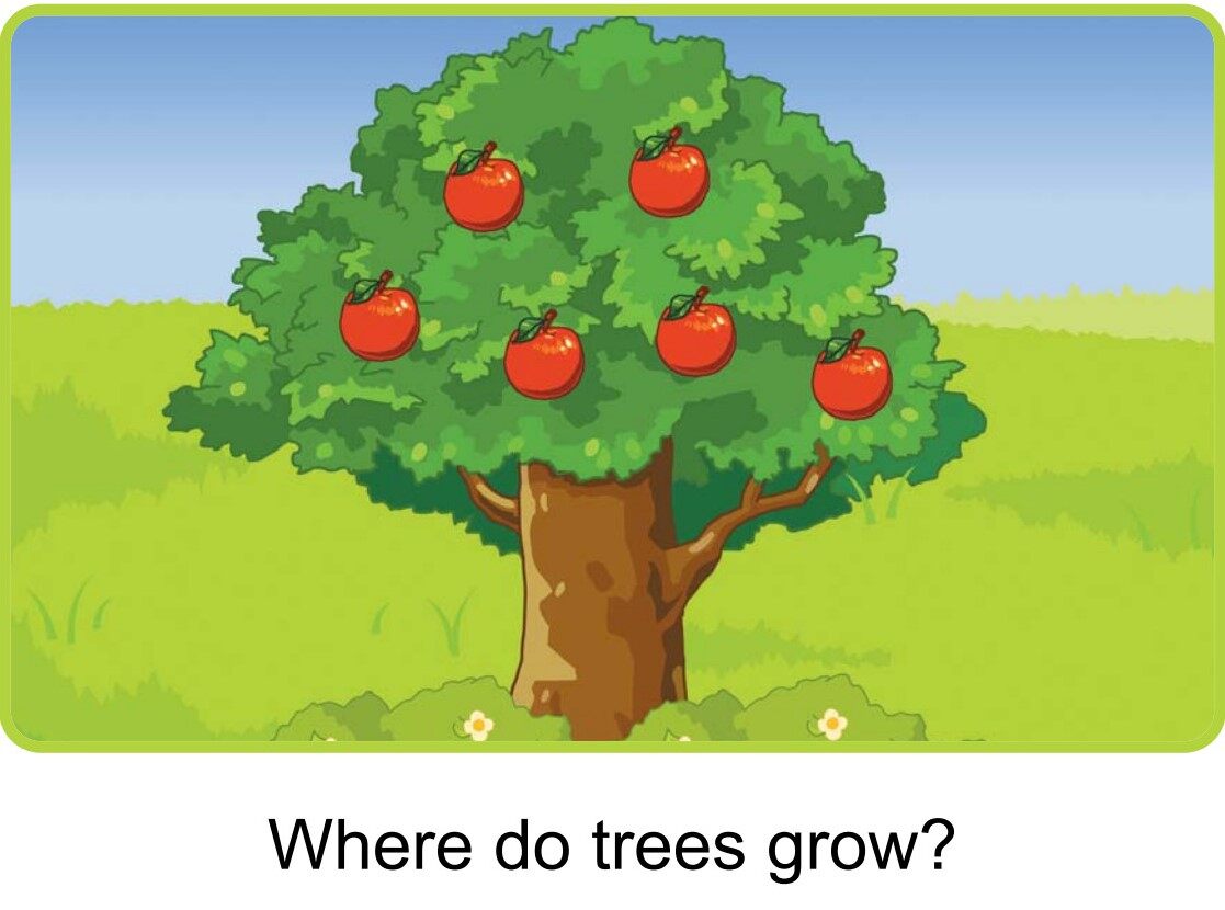 Where绘本故事第5页