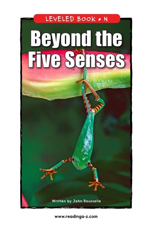 Beyond the Five Senses绘本故事第2页